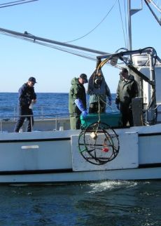 crabbing boats