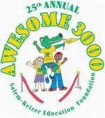 Awesome 3000 logo