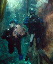 Divers in Oregon Coast Aquarium