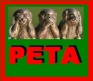 Peta image