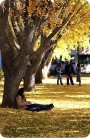 Kids studying under tree