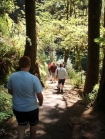 Silver Falls trail