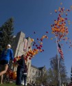 Virginia Tech balloons