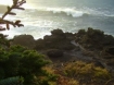 Rocky Creek State Park Wayside in Depoe Bay, Oregon