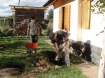 Yardwork in Argentina