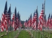 Rows of American flags