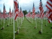 Image from the Field of Flags display