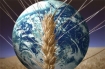 Global food crisis