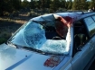 Deer crashed through windshield of Subaru in Bend, Oregon 6-10-08