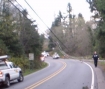 Downed power pole from MVA in Lincoln City, Oregon 11-21-08