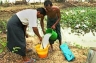 Villagers use bleaching powder to purify contaminated pond water in Myanmar's Kawhmu Township