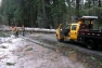 Stalled trucks and fallen tree