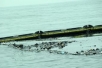 China Oil Spill July 19, 2010