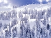 Hurricane Ridge, Olympic National Park, Washington 