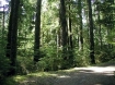 Opal Creek Wilderness