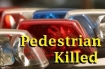 Pedestrian killed