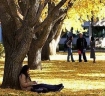 Students studying