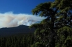 Scott Mountain Fire photos from August 25, 2010  As seen from Fritz/Wildcat area. 