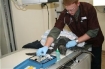 Dr. Dan Lewer, Aquarium Veterinarian, X-Rays a female Green sea turtle in Newport, Oregon