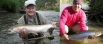 Two examples of  Willamette River Steelhead, the one on the left weighs 12+ pounds.