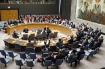 UN Security Council unanimously adopts resolution 1872