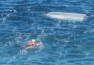 An overturned skiff found by the Coast Guard while conducting a search for a missing boater near Nehalem, Ore., Friday, Oct. 9, 2009.