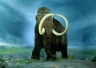 Wooly Mammoth