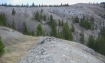 Big Hole Forest Reserve in Montana