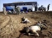 Dead American soldiers in the current Iraq war.  