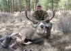 Hunter with Elk