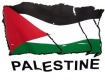 Palestine flag