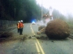 River Road boulder