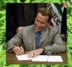 Schwarzenegger marijuana