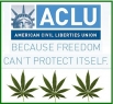 ACLU marijuana