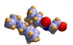 Anandamide Neurotransmitter Molecule