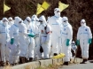 Workers begin removing nuclear contaminated water at Fukushima