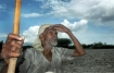 Farmers' suicides in India