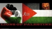 Lions of Palestine