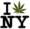 New York Marijuana