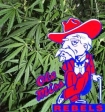 marijuana at Ole Miss