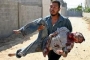 Injured child in Palestine