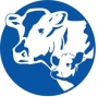 R Calf logo