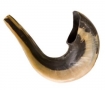 Rosh Hashana shofar