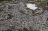 Thousands of Egyptian protesters came back to Tahrir Square once again on July 8, calling for faster reforms