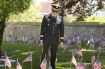 Veteran in cemetery