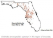 Map of sinkhole in Florida