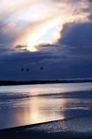 oregon beach