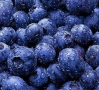 Blueberries