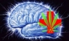 Marijuana for seizures