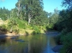 Butte Creek 